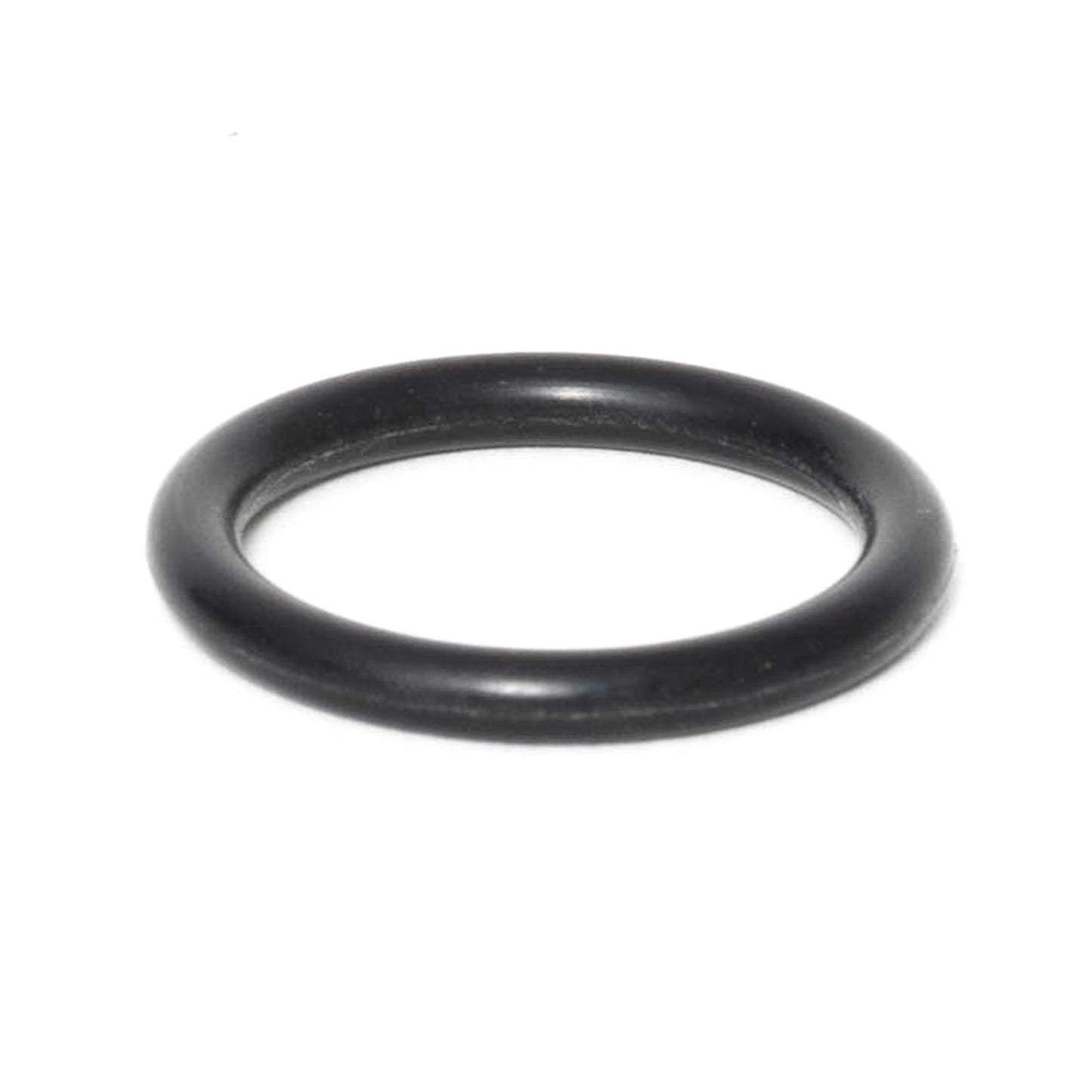 P65 Well O Ring